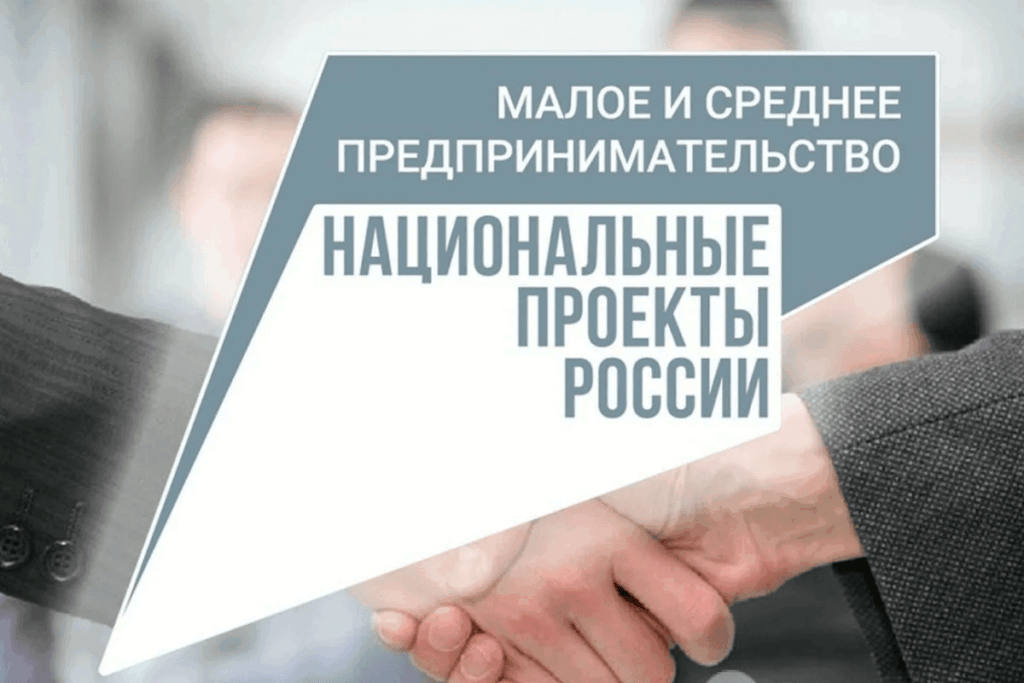 Новая консультационная услуга — «Иные консультационные услуги в целях содействия развитию деятельности субъектов малого и среднего предпринимательства (в видеоформате)