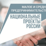 Новая консультационная услуга — «Иные консультационные услуги в целях содействия развитию деятельности субъектов малого и среднего предпринимательства (в видеоформате)